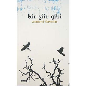 BIR ŞİİR GIBI - AHMET ÜRESİN