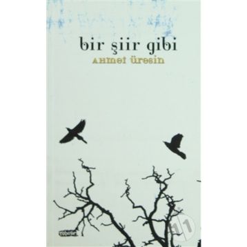 BIR ŞİİR GIBI - AHMET ÜRESİN