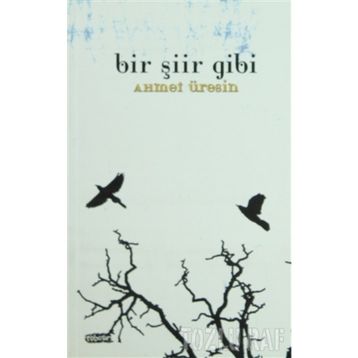 BIR ŞİİR GIBI - AHMET ÜRESİN