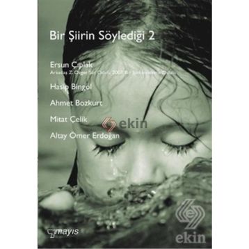 BIR ŞİİRİN SÖYLEDİĞİ 2 - KOLEKTIF