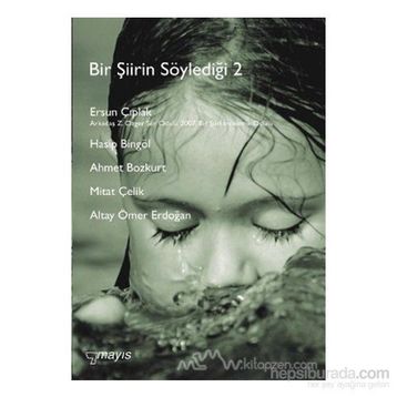 BIR ŞİİRİN SÖYLEDİĞİ 2 - KOLEKTIF