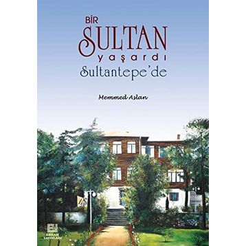 BIR SULTAN YAŞARDI SULTANTEPEDE - MEHMED ASLAN