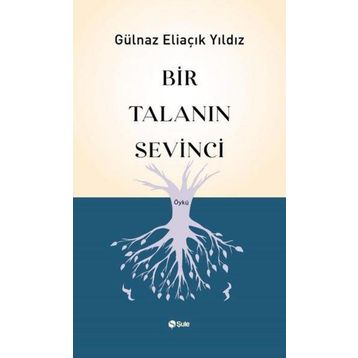 Bir Talanın Sevinci Şule Yayınları
