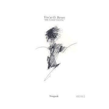 BIR TUHAF YALVAÇ - GENEL