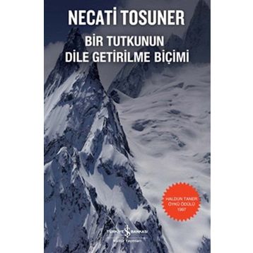 Bir Tutkunun Dile Getirilme Biçimi - Necati Tosuner