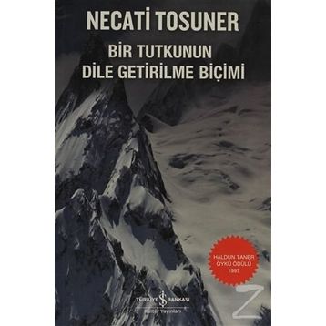 Bir Tutkunun Dile Getirilme Biçimi - Necati Tosuner