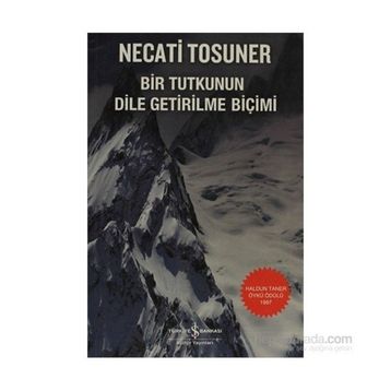 Bir Tutkunun Dile Getirilme Biçimi - Necati Tosuner