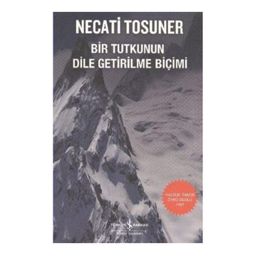 Bir Tutkunun Dile Getirilme Biçimi - Necati Tosuner