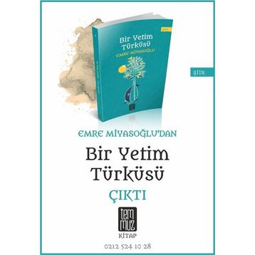 Bir Yetim Türküsü - Emre Miyasoğlu