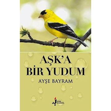 Bir Yudum Aşk - Emir Sinan