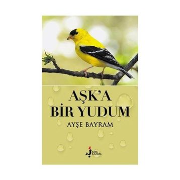 Bir Yudum Aşk - Emir Sinan