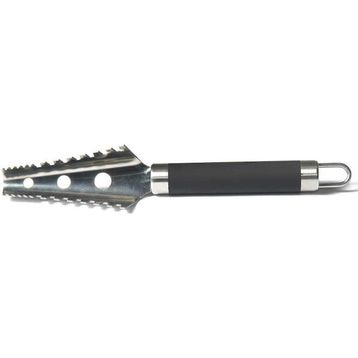 Biradlı BRD-EF 97 Balık Pul Temizleyici