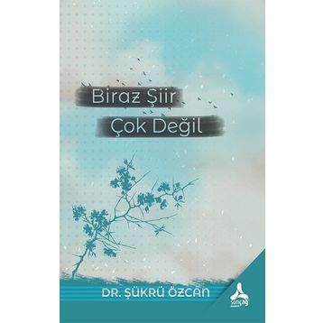 Biraz Şiir Çok Değil Şükrü Özcan