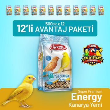 Bird Food Energy 12x500 gr Kanarya Yemi