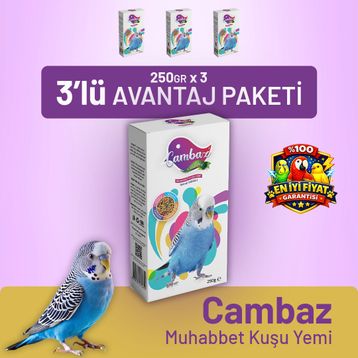 Bird Food Energy Cambaz 3x250 gr Muhabbet Kuşu Yemi