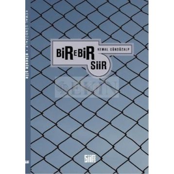 BIREBIR ŞİİR - KEMAL GÜNDÜZALP