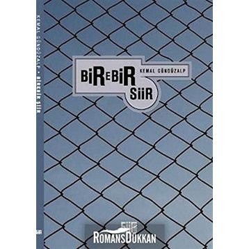 BIREBIR ŞİİR - KEMAL GÜNDÜZALP