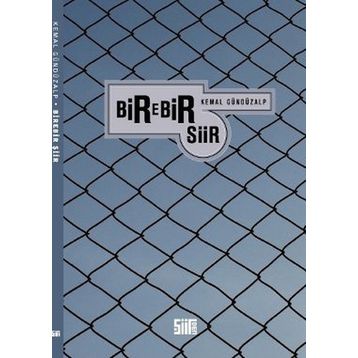 BIREBIR ŞİİR - KEMAL GÜNDÜZALP