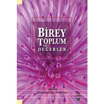 Birey Toplum ve Değerler / Kollektif