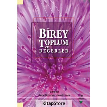 Birey Toplum ve Değerler / Kollektif