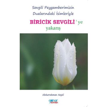 Biricik Sevgili - Abdurrahman Neşeli
