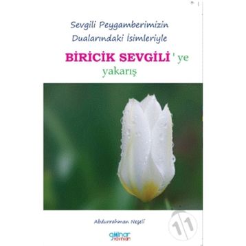Biricik Sevgili - Abdurrahman Neşeli