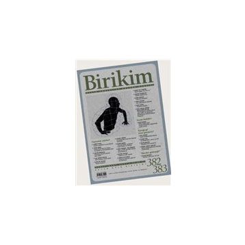 Birikim Aylık Edebiyat Kültür Dergisi Sayı: 382-383 Şubat-Mart