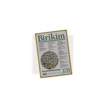 Birikim Aylık Sosyalist Kültür Dergisi Sayı: 378 Ekim 2020