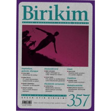 Birikim Dergisi Sayı 357 - Kolektif