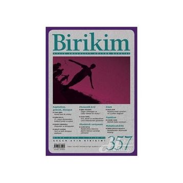 Birikim Dergisi Sayı 357 - Kolektif