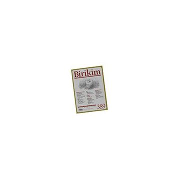 Birikim Sayı 389 Eylül Birikim Dergisi