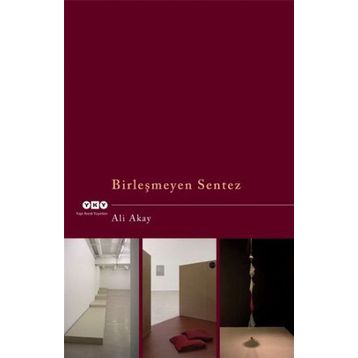 BİRLEŞMEYEN SENTEZ - ALI AKAY