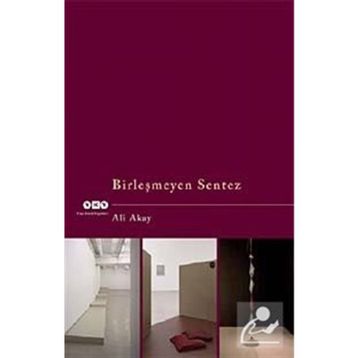 BİRLEŞMEYEN SENTEZ - ALI AKAY