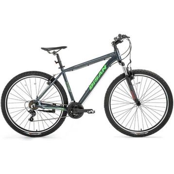 Bisan Atlas 29 V Fren 48 cm Parlak Gri Yeşil MTB Dağ Bisikleti