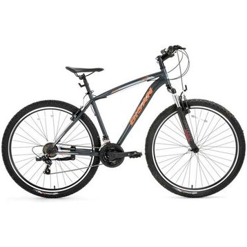 Bisan Leon 46 cm V 26 Jant 21 Vites Mat Gri Turuncu Erkek Dağ Bisikleti