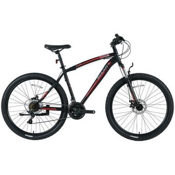 Bisan MTS 4600 MD 26 Jant 44 cm 21 Vites Antrasit Dağ Bisikleti