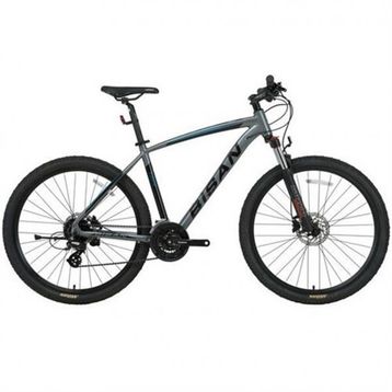 Bisan MTX 7300 29 Jant 24 Vites HD 19 Kadro Gri Yeşil Dağ Bisikleti