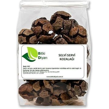 Bitki Diyarı 100 gr Servi Kozalağı