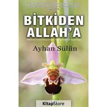 Bitkiden Allah'a - Ayhan Sülün