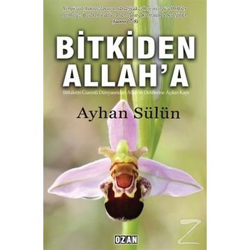 Bitkiden Allah'a - Ayhan Sülün