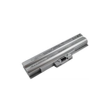 Bizedebak Vgp - Bps21 Vgp - Bps13 6 Cell Silver Notebook Bataryası