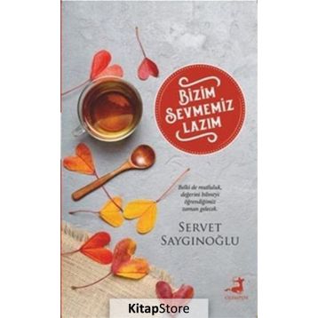 Bizim Sevmemiz Lazım - Servet Saygınoğlu