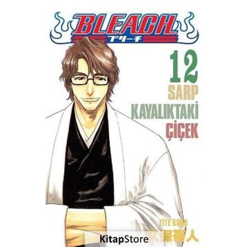 Bleach 12. Cilt - Tite Kubo