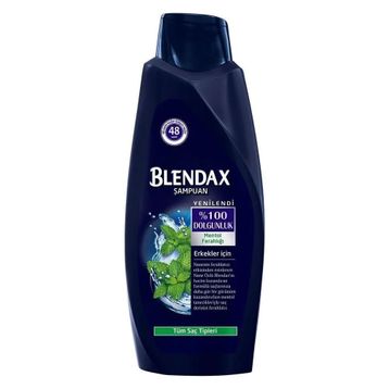 Blendax Erkek Mentol 500 ml Şampuan