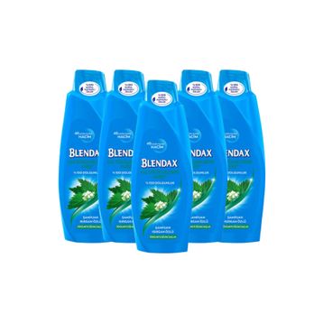 Blendax Isırgan Özlü 5x500 ml Şampuan
