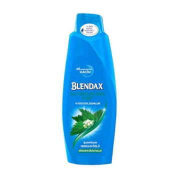Blendax Isırgan Özlü 650 ml Şampuan