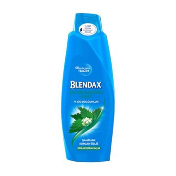 Blendax Isırgan Özlü 650 ml Şampuan