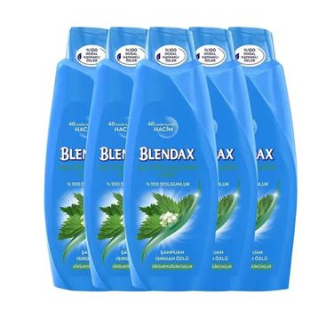 Blendax Isırgan Özlü 6x500 ml Şampuan