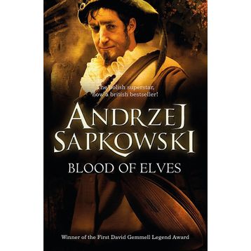 Blood of Elves: Witcher 1 - Now a Major Netflix Show