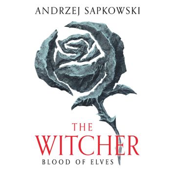 Blood of Elves: Witcher 1 - Now a Major Netflix Show